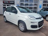 Gebraucht Fiat Panda 69 PS (50 kW) 2020 Weiß Kleinwagen