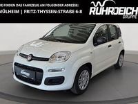 Gebraucht Fiat Panda Icon 65 PS (47 kW) 2026 Weiss Kleinwagen