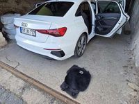 Gebraucht Audi A3 S-Line 150 PS (110 kW) 2023 Weiß Limousine