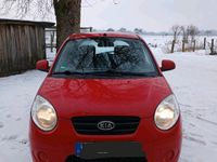 Gebraucht Kia Picanto 63 PS (46 kW) 2011 Rot Kleinwagen