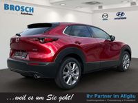 gebraucht Mazda CX-30 SKY-G 150 6AT FWD EXCLUSIVE HEADUP+LED++