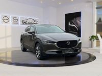 Gebraucht Mazda CX-30 Touring 186 PS (136 kW) 2021 Grau SUV
