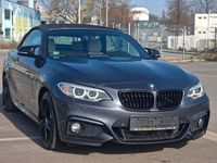 Gebraucht BMW 220 Shadowline 190 PS (139 kW) 2017 Grau Cabrio