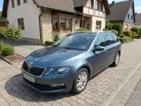 Gebraucht Skoda Octavia Ambition 116 PS (85 kW) 2020 Grau Kombi