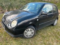 Gebraucht VW Lupo 60 PS (44 kW) 2001 Schwarz Kleinwagen