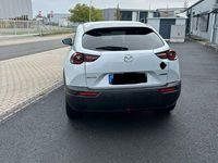 Gebraucht Mazda MX30 Prime-Line 106 kW (145 PS) 2021 Weiß SUV
