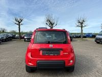 gebraucht Fiat Panda City Life 1.0 Mild Hybrid DAB Berganfahrass. Klima MP3 eFH Tagfahrlicht RDC