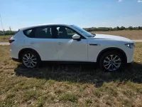 Gebraucht Mazda CX-60 Homura-Line 328 PS (241 kW) 2023 Weiß SUV
