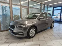 Neu Skoda Fabia Selection 116 PS (85 kW) 2025 Grau Kleinwagen