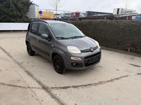 Gebraucht Fiat Panda Lounge 86 PS (63 kW) 2020 Grau Kleinwagen