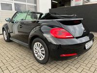 gebraucht VW Beetle Cabriolet *1-HAND* 28.450 Km.*