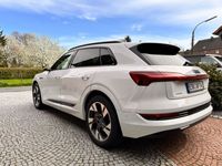 gebraucht Audi e-tron 55 quattro Matrix Pano Virt. Spiegel Voll