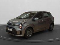Neu Kia Picanto Vision 68 PS (50 kW) 2026 Grau Kleinwagen