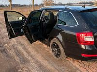 Gebraucht Skoda Octavia 105 PS (77 kW) 2014 Schwarz Kleinwagen