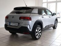 Gebraucht Citroën C4 Cactus 110 PS (80 kW) 2019 Andere Kleinwagen