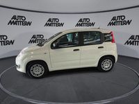 Neu Fiat Panda Icon 65 PS (47 kW) 2026 Weiß Kleinwagen