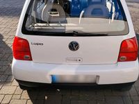 Gebraucht VW Lupo 50 PS (36 kW) 2000 Kleinwagen