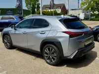 Gebraucht Lexus UX 250h Sport Line 478 PS (351 kW) 2024 Andere SUV