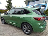 Neu Ford Kuga ST-Line 151 PS (111 kW) 2026 Grün SUV