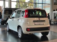 Gebraucht Fiat Panda Connect 69 PS (50 kW) 2020 Weiß Limousine