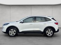 Gebraucht Ford Kuga Cool & Connect 224 PS (164 kW) 2022 Frozen white SUV