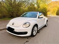 Gebraucht VW Beetle Cabriolet 105 PS (77 kW) 2016 Weiß Cabrio