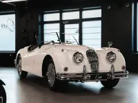 Gebraucht Jaguar XK 212 PS (155 kW) 1956 Weiß Cabrio