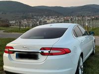 Gebraucht Jaguar XF 200 PS (147 kW) 2011 Weiß Limousine