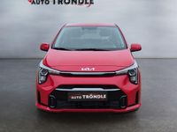 Gebraucht Kia Picanto 68 PS (50 kW) 2025 Signalrot metallic Kleinwagen