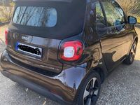 Gebraucht Smart ForTwo Cabrio 71 PS (52 kW) 2019 Braun Cabrio