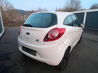 Gebraucht Ford Ka Titanium 69 PS (50 kW) 2009 Weiß Kleinwagen