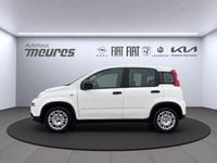 Neu Fiat Panda 69 PS (50 kW) 2025 Weiß Limousine