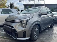 Neu Kia Picanto Vision 68 PS (50 kW) 2025 Grau Kleinwagen