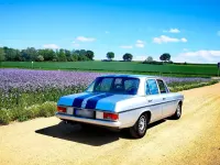 Gebraucht Mercedes 230 120 PS (88 kW) 1973 Silber Limousine