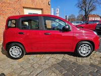 Neu Fiat Panda Red 65 PS (47 kW) 2026 Rot Kleinwagen