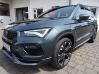 Usata Cupra Ateca 300 CV (220 kW) 2022 Verde SUV