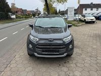 Gebraucht Ford Ecosport Titanium 95 PS (69 kW) 2016 Grau SUV