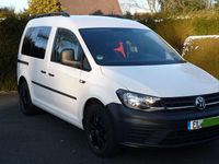 Gebraucht VW Caddy 84 PS (61 kW) 2016 Weiß Van / Kleinbus