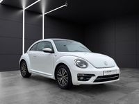 Gebraucht VW Beetle Allstar 105 PS (77 kW) 2017 Weiß Kleinwagen