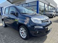 gebraucht Fiat Panda 0.9 Twinair Start&Stopp Dualogic Lounge