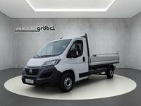 Gebraucht Fiat Ducato 140 PS (102 kW) 2022 Weiss Van