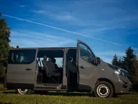 Gebraucht Opel Vivaro 2018 Grau Van / Kleinbus