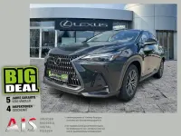 Gebraucht Lexus NX350h Executive Line 243 PS (178 kW) 2024 Graphitschwarz SUV