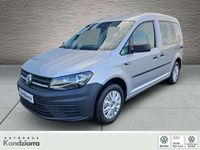 Gebraucht VW Caddy Basis 102 PS (75 kW) 2020 Reflexsilber Van / Kleinbus