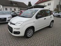 Gebraucht Fiat Panda Easy 69 PS (50 kW) 2016 Weiß Kleinwagen