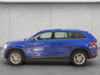 Gebraucht Skoda Kodiaq Active 150 PS (110 kW) 2021 Blau SUV