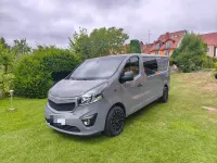 Gebraucht Opel Vivaro 146 PS (107 kW) 2018 Grau Van / Kleinbus