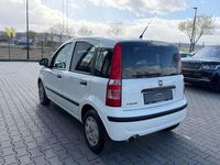 Gebraucht Fiat Panda 69 PS (50 kW) 2011 Weiß Kleinwagen