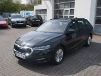 Gebraucht Skoda Octavia Ambition 116 PS (85 kW) 2023 Schwarz Kombi