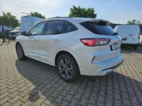 Gebraucht Ford Kuga ST-Line X 224 PS (164 kW) 2024 Arktisweiß (metallic) SUV